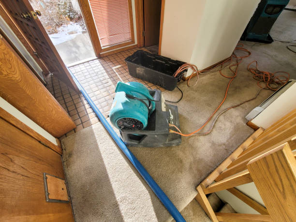 Best Flood restoration services  in Madras, OR