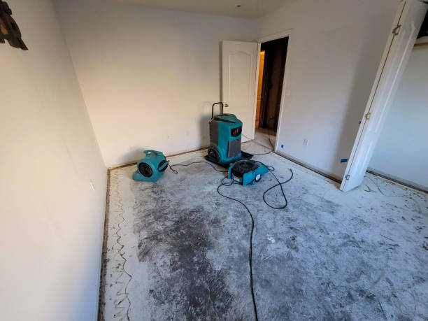 Best Water damage contractors near me  in Madras, OR