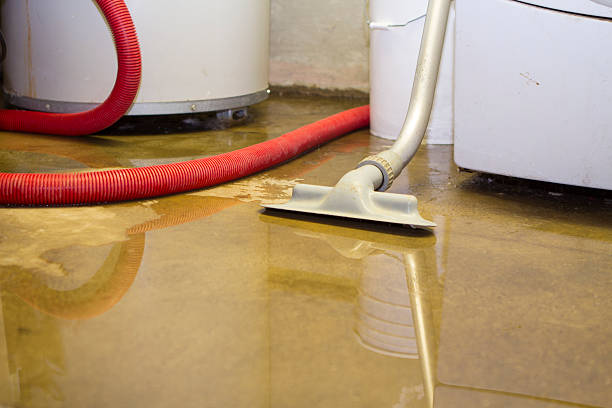 Best Local water damage restoration  in Madras, OR